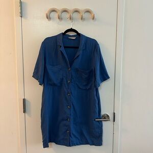 Everlane Linen Button-Up Shirt Dress